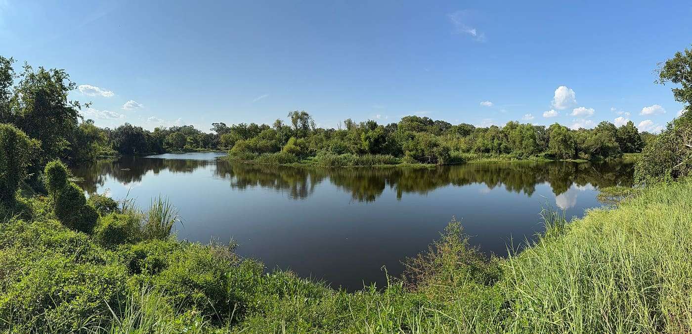 Panoramic view from the south shore of New Horseshoe Lake within Brazos Bend State Park in Fort Bend County, Texas