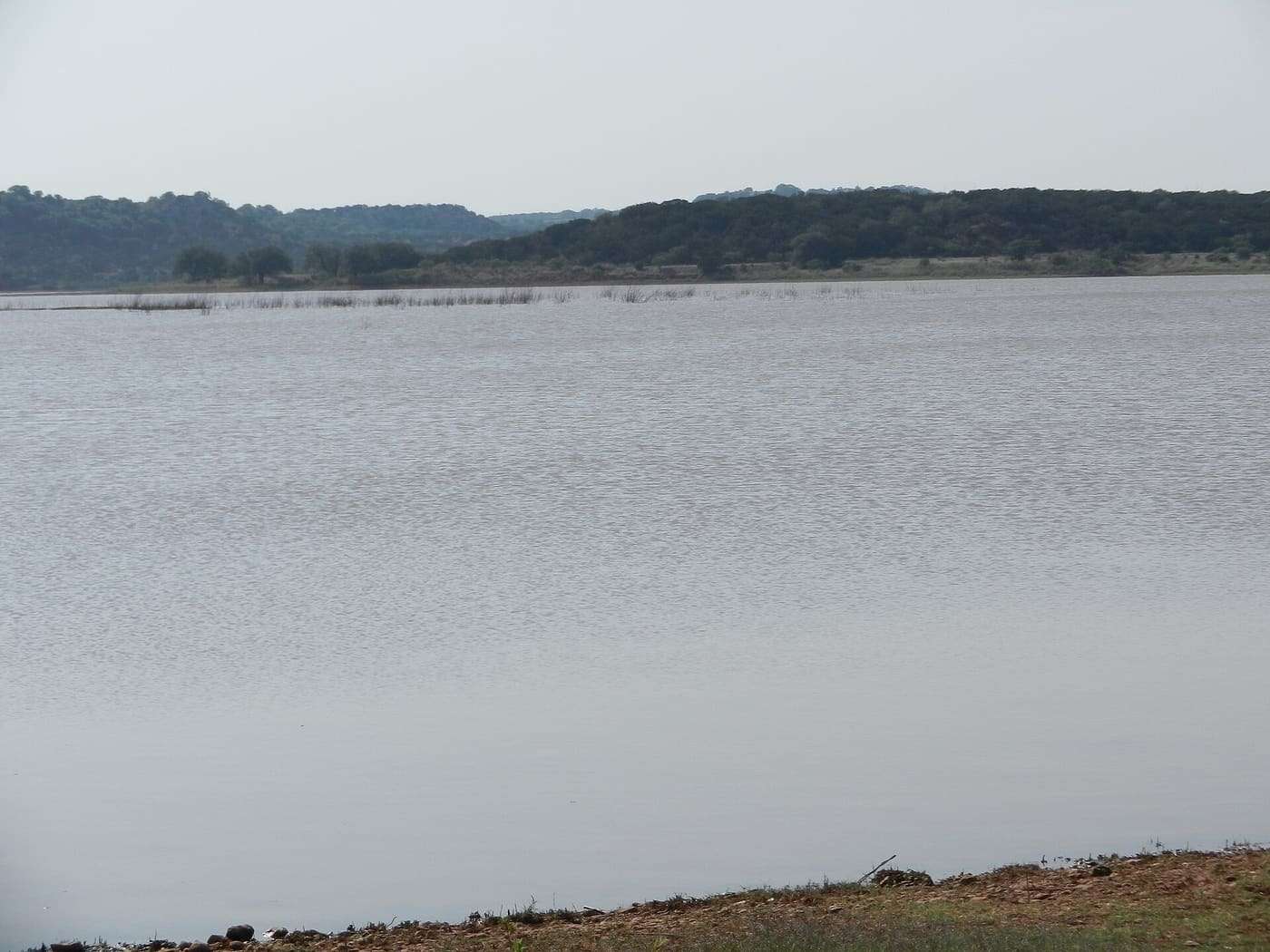 Lake Abilene from Abilene State Park in Taylor County, Texas, United States.
