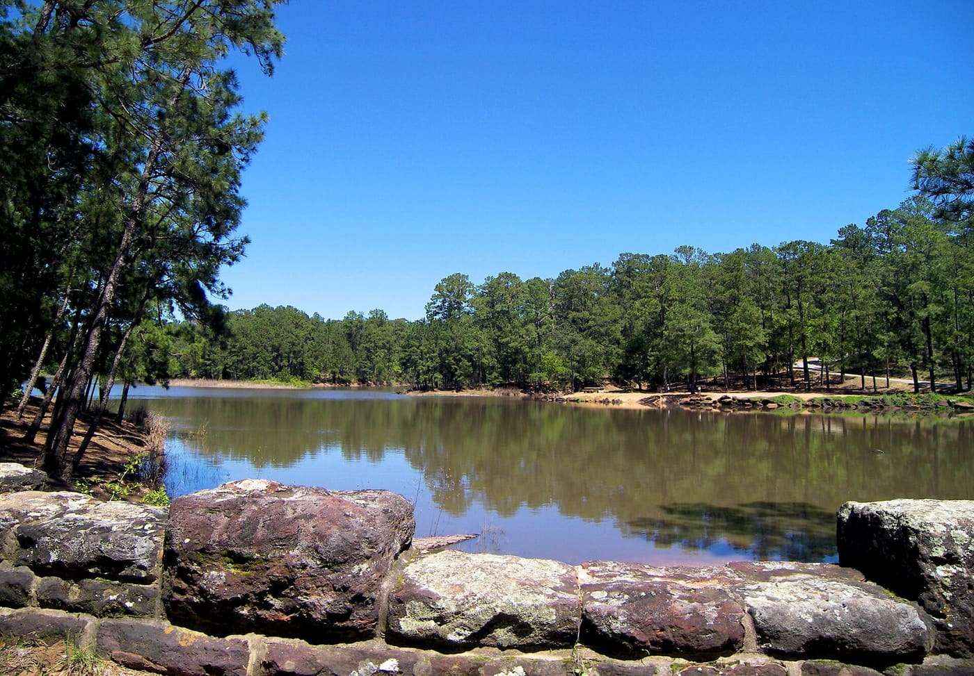 Bastrop State Park Lake in Bastrop County, Texas, United States is prime breeding habitat for the endangered Houston toad . The lake is closed to the public dur