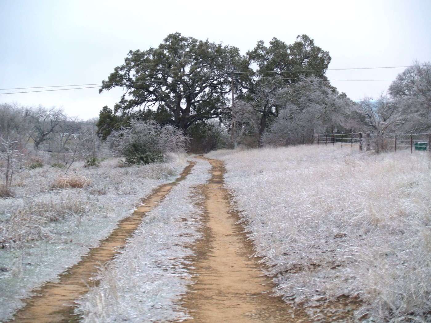 Ice in Blanco State Park, Texas