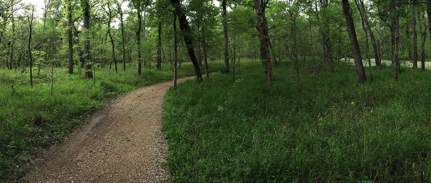 Pilant Slough Trail at Brazos Bend State Park in Needville, Texas.