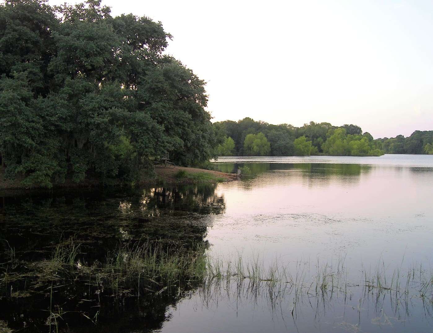 Buescher State Park Lake in Bastrop County, Texas, United States.