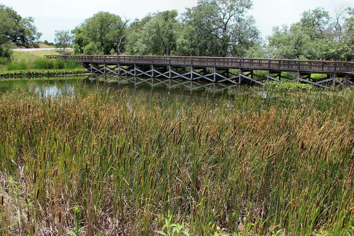 The perch pond in Cedar Hill State Park in Cedar Hill, Texas, United States.