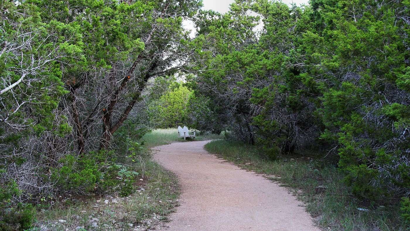 On the Discovery Trail in Government Canyon State Natural Area in Bexar County, Texas, United States. The trail is 1.23 miles and has a packed decomposed granit