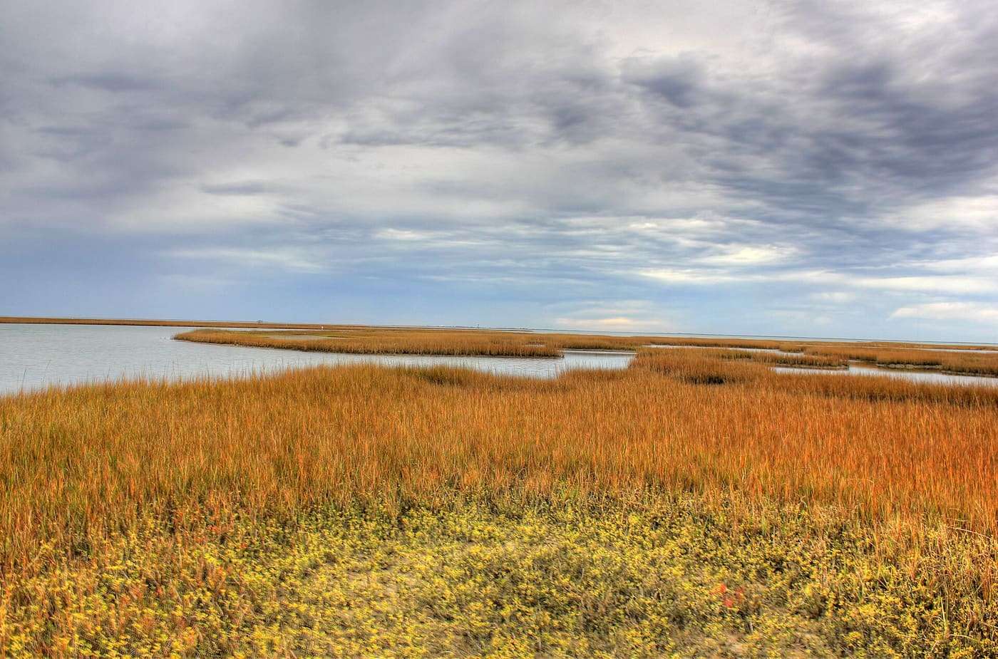 Galveston Island State Park — a 2,013 acre state park on Galveston Island , Texas. Shoreline wetland plants on one of the inlet bays of Galveston Bay . The park