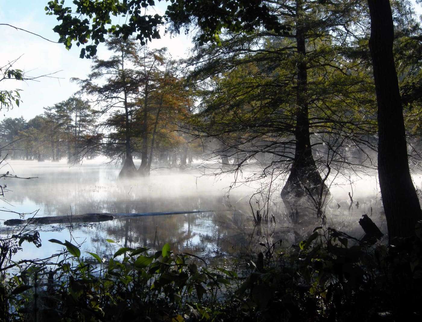 Morning mist on Steinhagen Reservoir, Martin Dies Jr. State Park, Texas