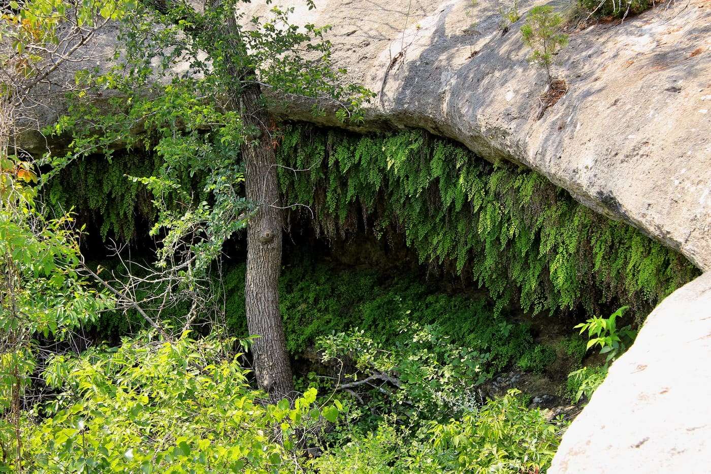 A grotto in Meridian State Park in Bosque County, Texas, United States.