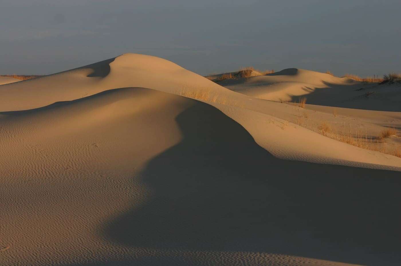 Sand dunes at sunrise. Taken at Monahans Sandhills State Park , Monahans, Texas, USA.