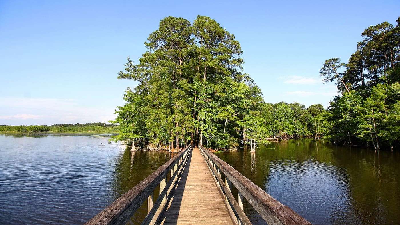 An observation pier on the Wildlife Trail in Martin Dies, Jr. State Park in Jasper and Tyler counties in Texas, United States.