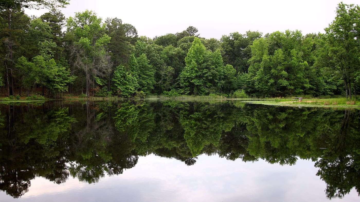 Trout Pond in Lake Bob Sandlin State Park in Titus County, Texas, United States.